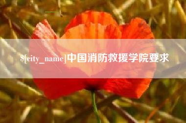 磁县中国消防救援学院要求