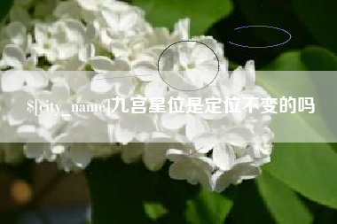 磁县九宫星位是定位不变的吗