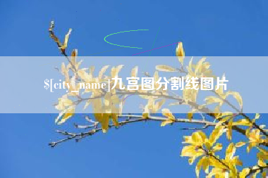 磁县九宫图分割线图片