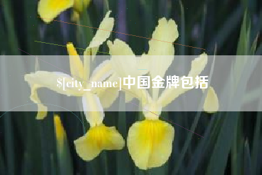磁县中国金牌包括