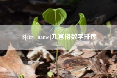 磁县九宫格数字排序
