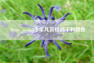 磁县今年九宫格的不利颜色
