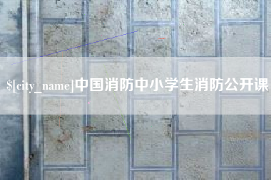 磁县中国消防中小学生消防公开课