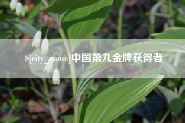 磁县中国第九金牌获得者
