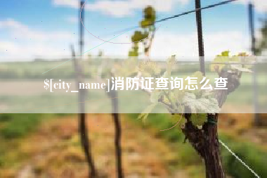 磁县消防证查询怎么查