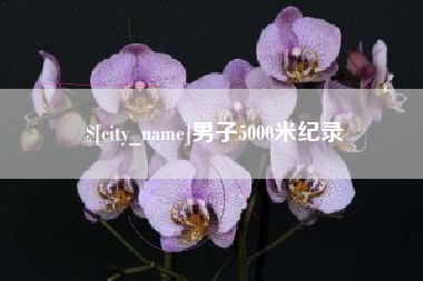 磁县男子5000米纪录