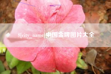 磁县中国金牌图片大全