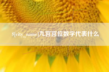 磁县九宫宫位数字代表什么