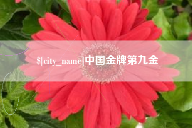 磁县中国金牌第九金