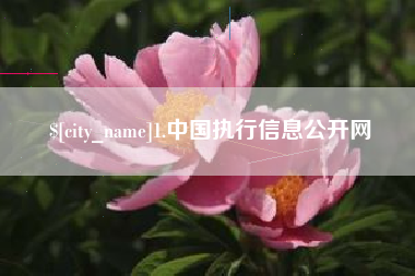 磁县1.中国执行信息公开网