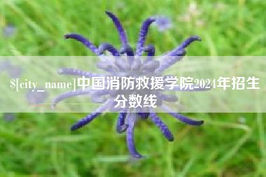 磁县中国消防救援学院2024年招生分数线