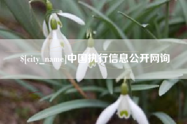 磁县中国执行信息公开网询