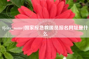 磁县国家应急救援员报名网址是什么