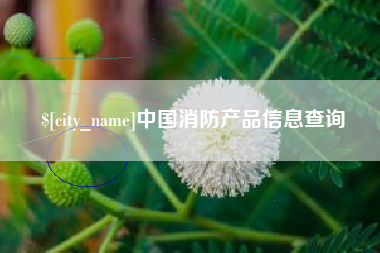 磁县中国消防产品信息查询