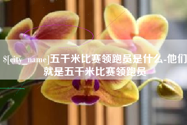 磁县五千米比赛领跑员是什么-他们就是五千米比赛领跑员