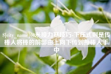 磁县60米接力赛技巧-下压式则是传棒人将棒的前部由上向下传到接棒人手中