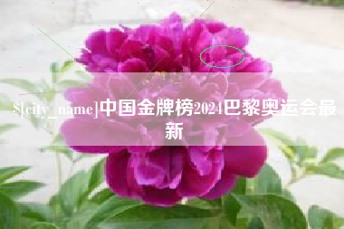 磁县中国金牌榜2024巴黎奥运会最新