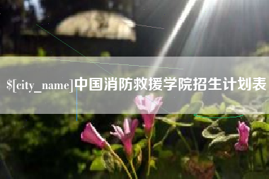 磁县中国消防救援学院招生计划表