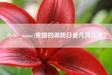 磁县我国的消防日是几月几号？