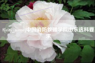 磁县中国消防救援学院山东选科要求