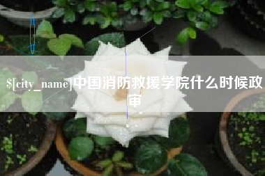 磁县中国消防救援学院什么时候政审