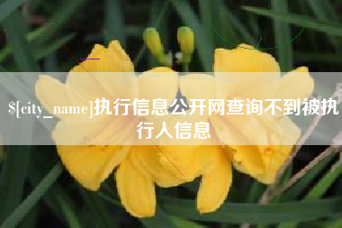 磁县执行信息公开网查询不到被执行人信息