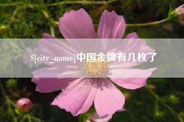 磁县中国金牌有几枚了