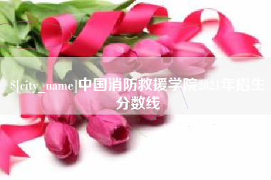 磁县中国消防救援学院2021年招生分数线
