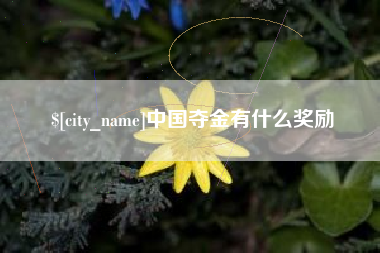 磁县中国夺金有什么奖励