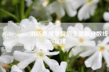 磁县消防救援学院招生录取分数线2020福建