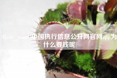 磁县中国执行信息公开网官网app为什么要钱呢