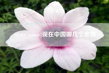 磁县现在中国哪几个金牌