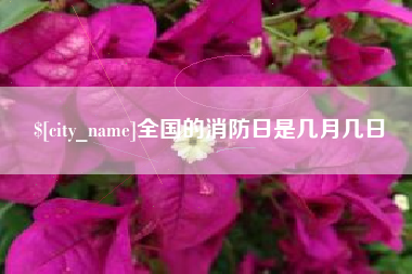磁县全国的消防日是几月几日