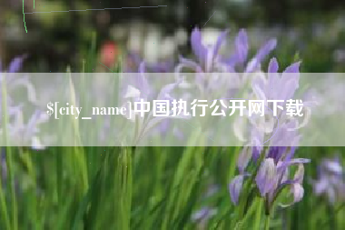 磁县中国执行公开网下载