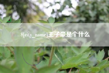 磁县王子豪是个什么