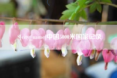 磁县中国5000米国家记录