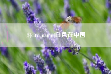 磁县白色在中国