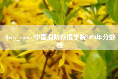 磁县中国消防救援学院2020年分数线