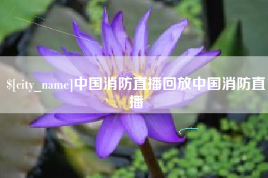 磁县中国消防直播回放中国消防直播