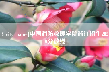 磁县中国消防救援学院浙江招生2020分数线