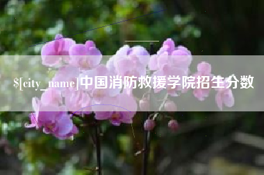 磁县中国消防救援学院招生分数