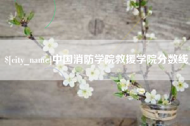 磁县中国消防学院救援学院分数线