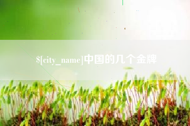 磁县中国的几个金牌