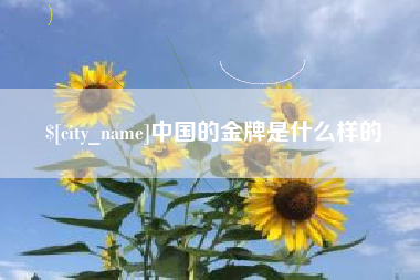 磁县中国的金牌是什么样的