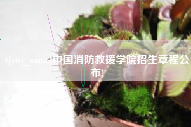 磁县中国消防救援学院招生章程公布!