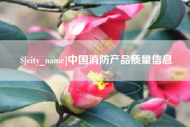 磁县中国消防产品质量信息