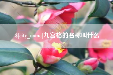 磁县九宫格的名称叫什么