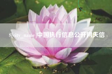 磁县中国执行信息公开网失信