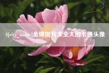 磁县金牌图片大全大图卡通头像