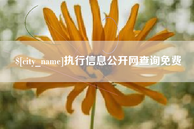 磁县执行信息公开网查询免费